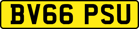 BV66PSU