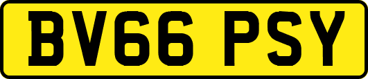 BV66PSY