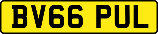 BV66PUL