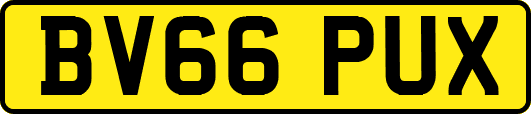 BV66PUX