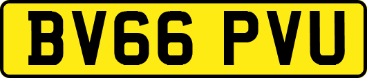 BV66PVU