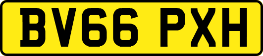 BV66PXH