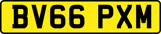 BV66PXM