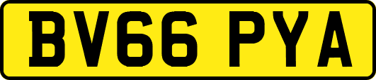 BV66PYA