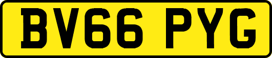 BV66PYG