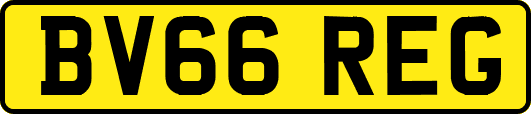 BV66REG