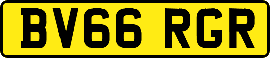 BV66RGR