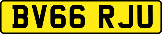 BV66RJU