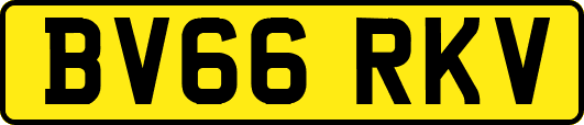 BV66RKV