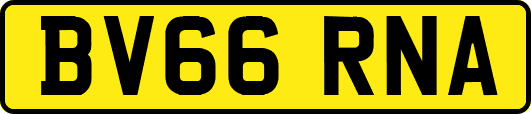 BV66RNA