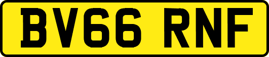 BV66RNF