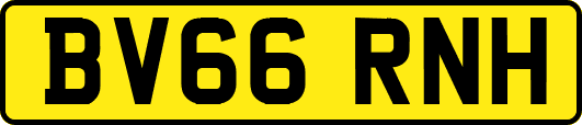 BV66RNH