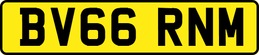 BV66RNM