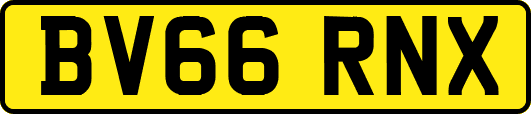 BV66RNX