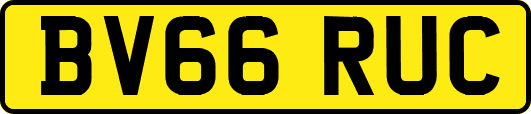 BV66RUC