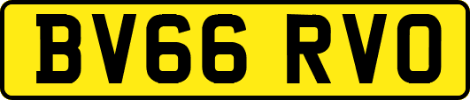 BV66RVO