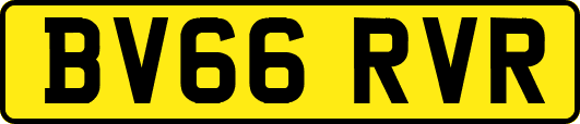 BV66RVR