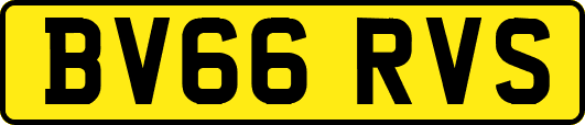 BV66RVS