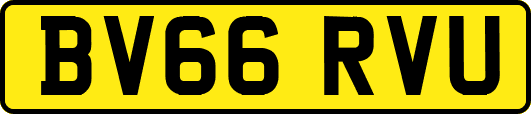 BV66RVU