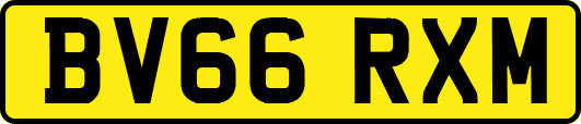 BV66RXM