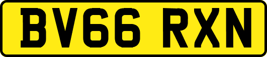 BV66RXN