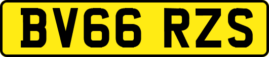 BV66RZS