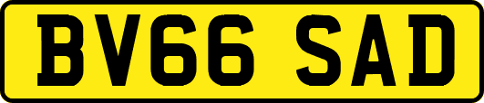 BV66SAD