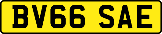 BV66SAE