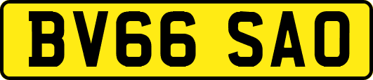 BV66SAO