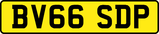 BV66SDP