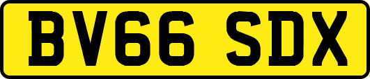 BV66SDX