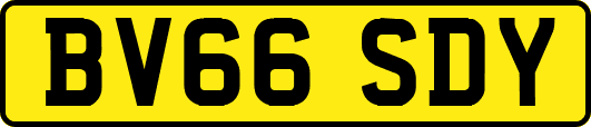 BV66SDY