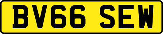 BV66SEW