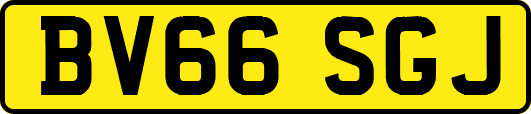 BV66SGJ