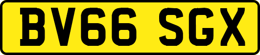 BV66SGX