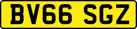 BV66SGZ