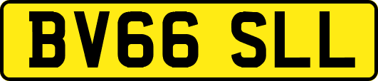 BV66SLL