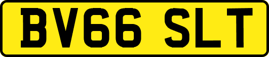 BV66SLT