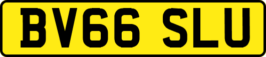 BV66SLU