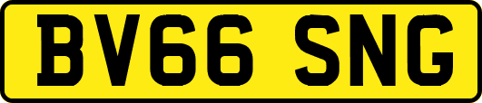 BV66SNG