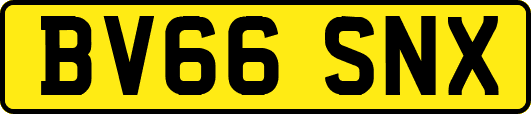 BV66SNX