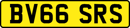 BV66SRS