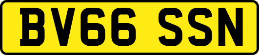 BV66SSN