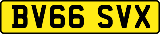 BV66SVX