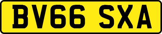 BV66SXA