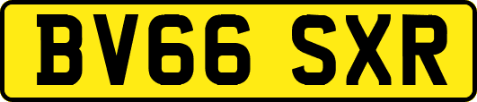 BV66SXR