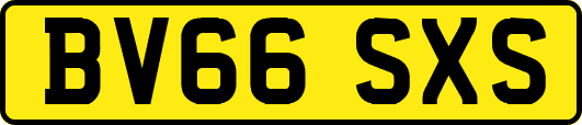 BV66SXS