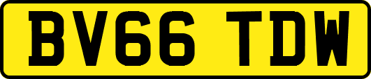 BV66TDW