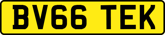 BV66TEK