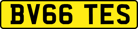 BV66TES